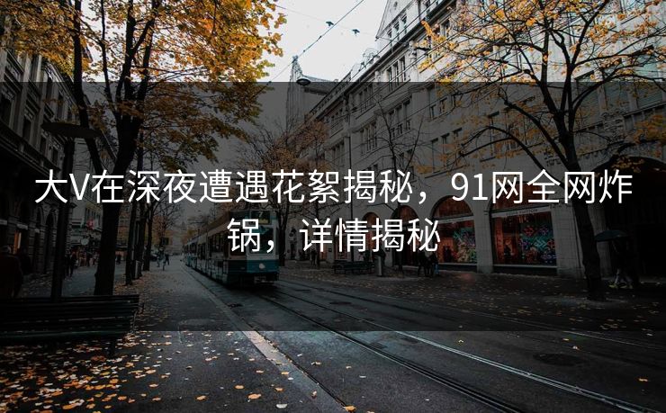 大V在深夜遭遇花絮揭秘，91网全网炸锅，详情揭秘