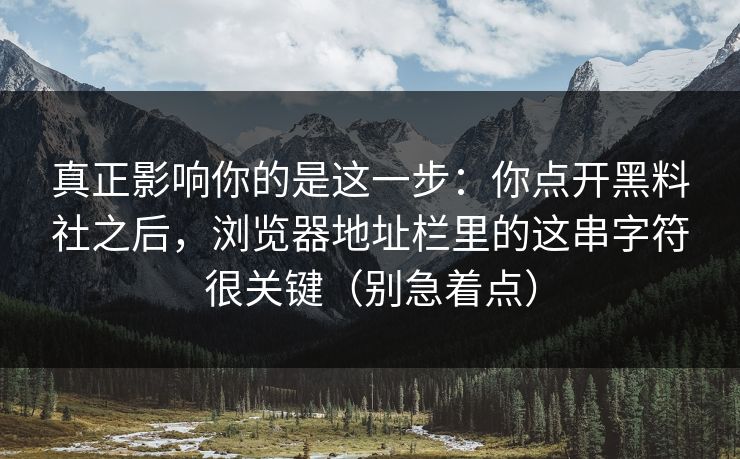 真正影响你的是这一步：你点开黑料社之后，浏览器地址栏里的这串字符很关键（别急着点）