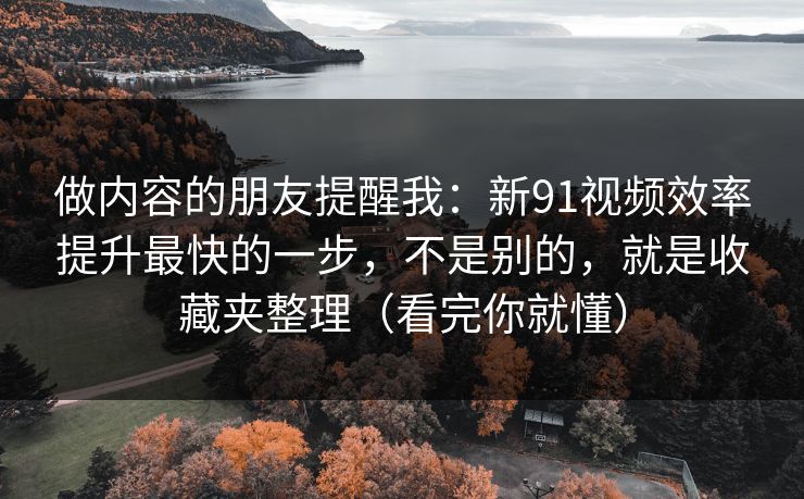 做内容的朋友提醒我：新91视频效率提升最快的一步，不是别的，就是收藏夹整理（看完你就懂）